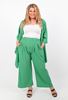 Picture of PLUS SIZE LOOSE PLEATED TROUSERS